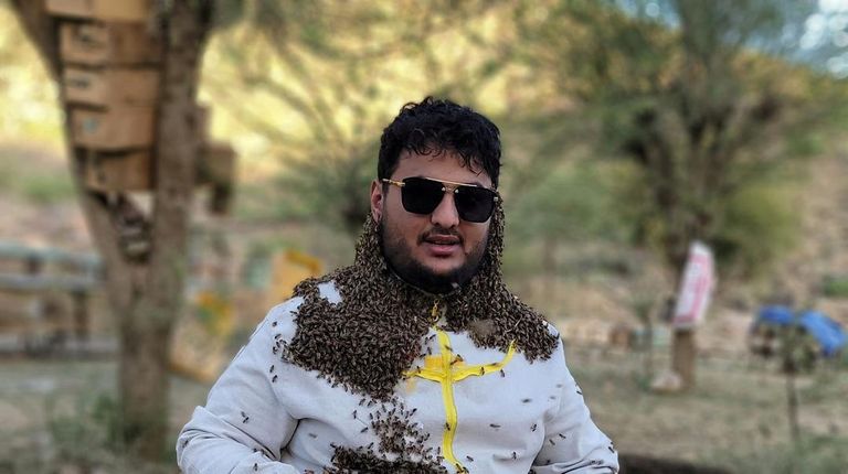 madu sidr honey