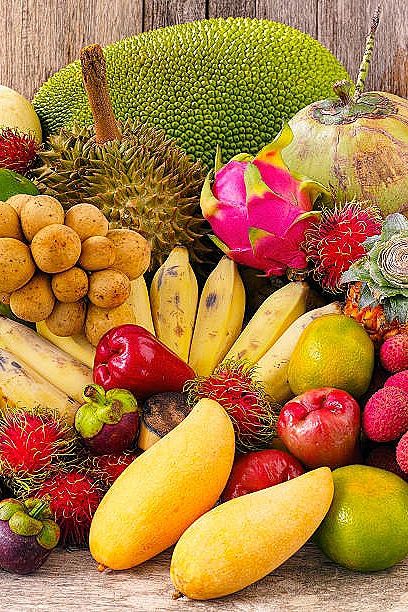 Baja Buah: Rahsia Hasilkan Buah Berkualiti Tinggi